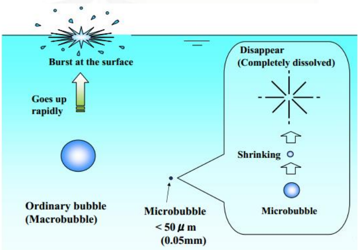 Nanobubbles vs. Ordinary Bubbles