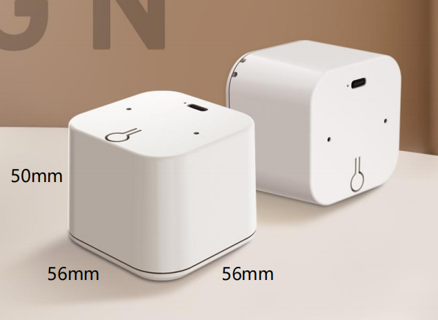 AI Smart Bluetooth Speaker